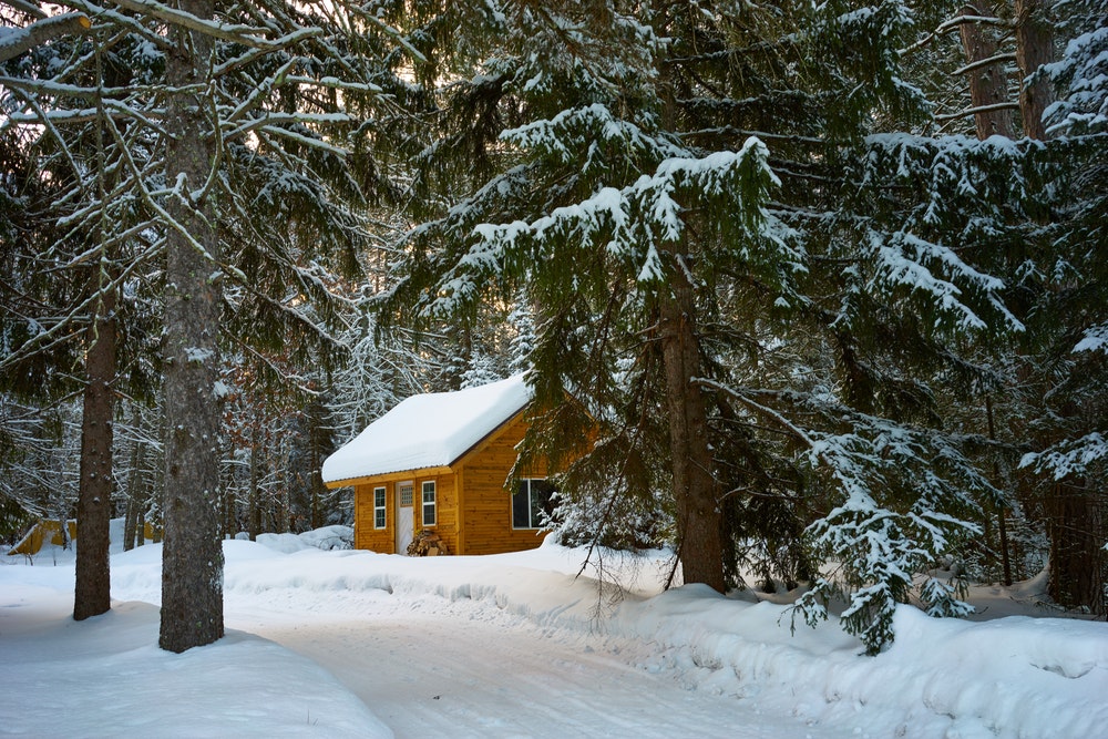 snowy house in forest